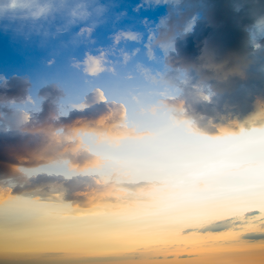 Comprendre-éclaircies